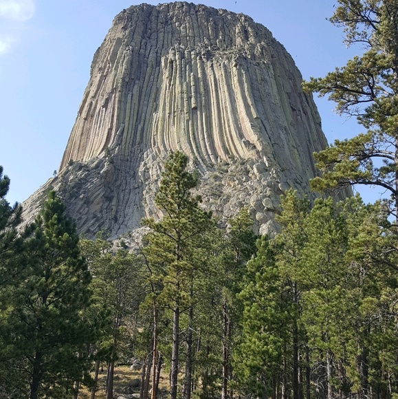 Posh Ambassador - Picture 1 of 1